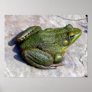 Pesquisar por príncipe sapo pôsteres Água