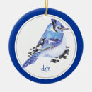Pesquisar por azul jato ornamentos Pássaro
