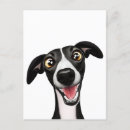 Pesquisar por whippet cartoes postais Greyhound