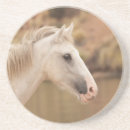 Pesquisar por cavalo branco porta copos Equino