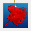 Pesquisar por betta ornamentos Aquário