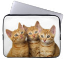 Pesquisar por pouco laptop sleeves Gatinho