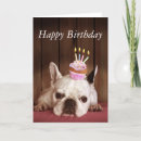 Pesquisar por french bulldog Animals