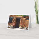 Pesquisar por portas de madeira cartoes Arquitetura