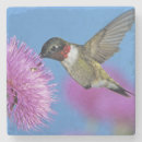 Pesquisar por hummingbird porta copos Exterior