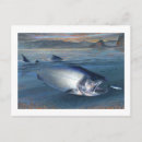 Pesquisar por salmon cartoes postais Pesca
