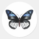 Pesquisar por bandeira estónia adesivos Orgulho