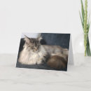 Pesquisar por casulo cartoes Felino