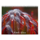 Pesquisar por rinoceronte calendarios Leões