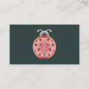 Pesquisar por inseto da senhora cartao de visita Insetos