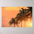 Pesquisar por férias de miami pósteres pôsteres Viagem