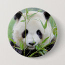 Pesquisar por panda grande acessorios Kawaii