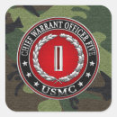 Pesquisar por insígnias adesivos Usmc cwo5 3d