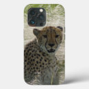 Pesquisar por de telefone do ipad For him