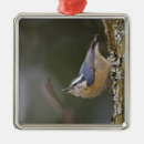 Pesquisar por tronco árvore de ornamentos Animal