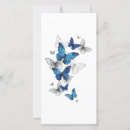 Pesquisar por morpho cartoes Borboletas