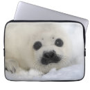 Pesquisar por corpo animal capas Horizontal