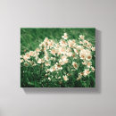 Pesquisar por rosas selvagens impressão de canvas Floral