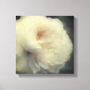 Pesquisar por pétalas e flores impressão de canvas For her