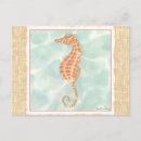 Pesquisar por cavalos marinhos cartoes postais Cavalo marinho