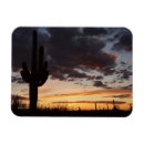 Pesquisar por landscape imas Paisagem