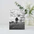 Pesquisar por cavalo preto e branco cartoes postais Animal