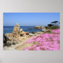 Pesquisar por baía de monterey pôsteres Pacífico