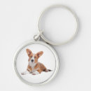 Pesquisar por corgi chaveiros Fofo