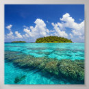 Pesquisar por tropical pôsteres Coral