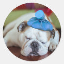 Pesquisar por charada adesivos Amor