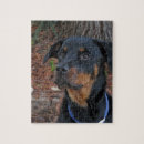 Pesquisar por do rottweiler quebra cabecas Rottie