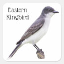 Pesquisar por oriental adesivos Pássaro