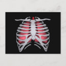 Pesquisar por anatomia humana cartoes postais Esqueleto