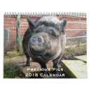 Pesquisar por porcos calendarios Cães