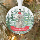 Pesquisar por cão weimaraner ornamentos Cães