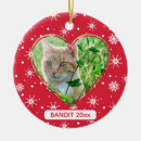 Pesquisar por pet photo ornamentos Fofofo