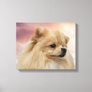 Pesquisar por pom impressão de canvas Animal