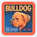 Pesquisar por touros adesivos Buldogue