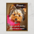 Pesquisar por yorkshire terrier christmas cartoes postais Animal