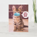 Pesquisar por gatinho engraçado cartoes Trocadilho