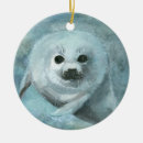 Pesquisar por foca ornamentos Animais