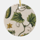 Pesquisar por erval ornamentos Blackwell