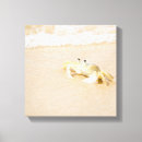 Pesquisar por brasil impressão de canvas Natureza