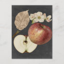 Pesquisar por botânica cartoes postais Colheita