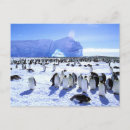 Pesquisar por antarctica cartoes postais Gelo