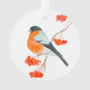 Pesquisar por galho ornamentos Inverno