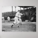 Pesquisar por insetos e insetos pôsteres Fotografia