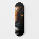 Pesquisar por china skates Fantasia