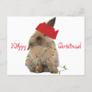 Pesquisar por funny bunny cartoes Xmas
