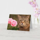 Pesquisar por dois gatos cartoes Qualquer pessoa